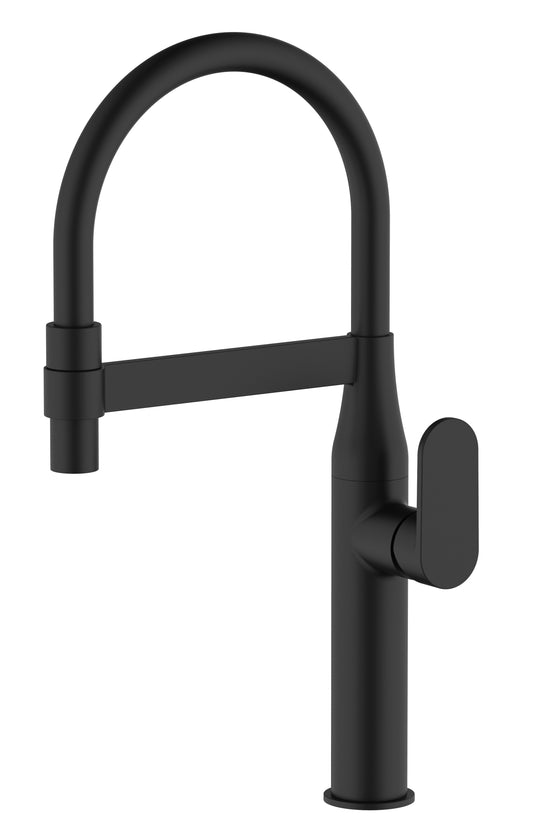 HESANIT Premium Kitchen Faucet with Flexible Pull Out Spout, Matt Black Matt Black