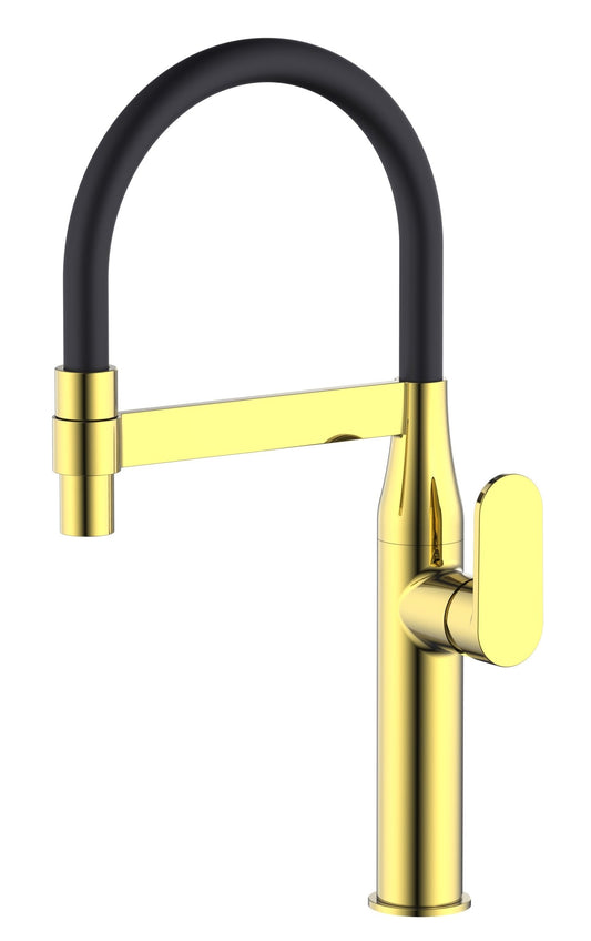 HESANIT Premium Kitchen Faucet with Flexible Pull Out Spout, Gold, Black Spout