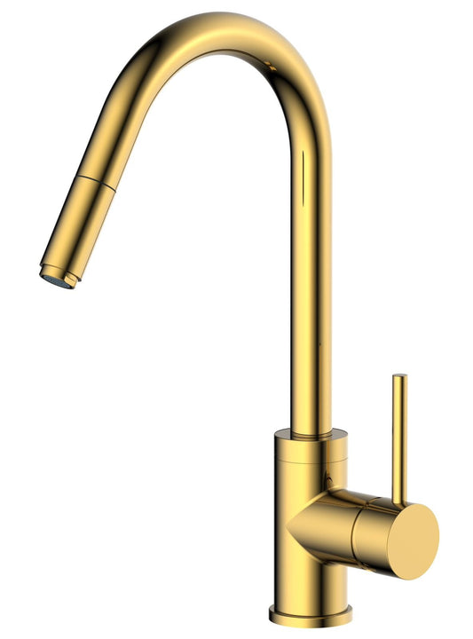 HESANIT Pull-Out Kitchen Mixer Durable Brass Body, Gold Finish, Dual Spray Modes