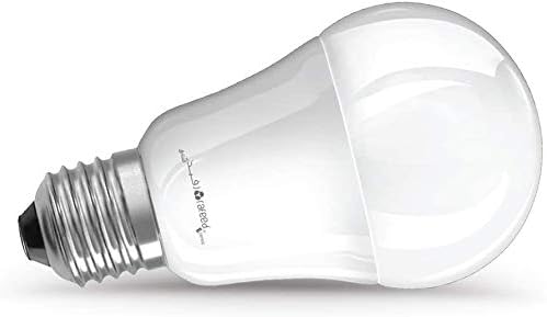 Rafeed LED Light Bulbs